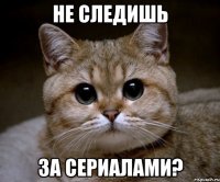 не следишь за сериалами?