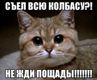 съел всю колбасу?! не жди пощады!!!