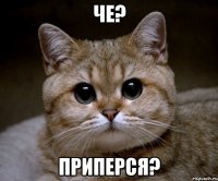 че? приперся?