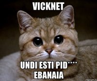 vicknet undi esti pid**** ebanaia