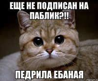 еще не подписан на паблик?!! педрила ебаная