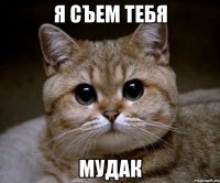 я съем тебя мудак