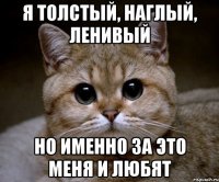 я толстый, наглый, ленивый но именно за это меня и любят