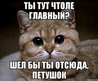 ты тут чтоле главный? шел бы ты отсюда, петушок