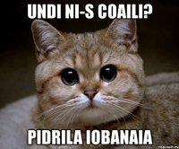 undi ni-s coaili? pidrila iobanaia