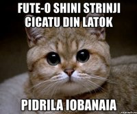 fute-o shini strinji cicatu din latok pidrila iobanaia