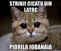 strinji cicatu din latoc pidrila iobanaia