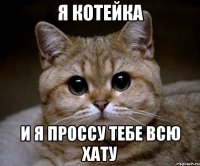 я котейка и я проссу тебе всю хату