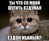 ты что со мной шутить вздумал ездок ибаный?