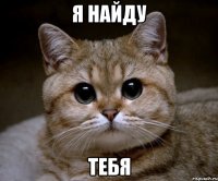 я найду тебя