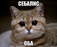 себалис оба