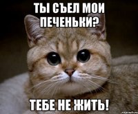 ты съел мои печеньки? тебе не жить!