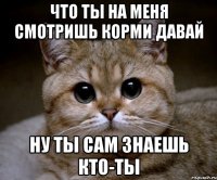 что ты на меня смотришь корми давай ну ты сам знаешь кто-ты