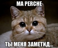 ma perche ты меня заметид...