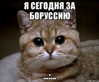 я сегодня за боруссию …:…