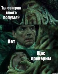 Ты сожрал моего попугая? Нет Щас проверим
