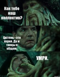 Как тебе наш коллектив? Цвітень - это херня. Да и танцы в общем. УМРИ.