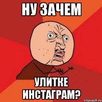 ну зачем улитке инстаграм?