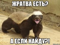 жратва есть? а если найду?!