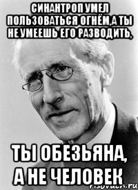 синантроп умел пользоваться огнём,а ты не умеешь его разводить, ты обезьяна, а не человек