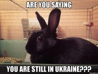 are you saying you are still in ukraine???