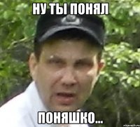 ну ты понял поняшко...