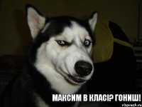 Максим в класі? Гониш!