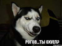 Рогов...ты охуел?