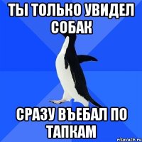 ты только увидел собак сразу въебал по тапкам