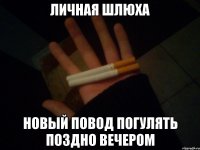 личная шлюха новый повод погулять поздно вечером