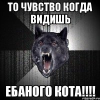 то чувство когда видишь ебаного кота!!!