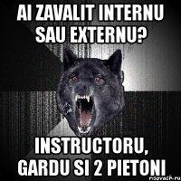 ai zavalit internu sau externu? instructoru, gardu si 2 pietoni