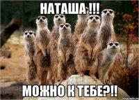 наташа !!! можно к тебе?!!