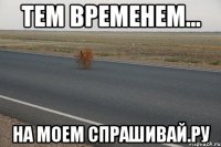 тем временем... на моем спрашивай.ру