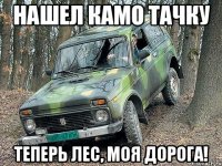 нашел камо тачку теперь лес, моя дорога!