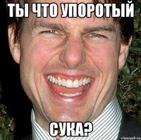 ты что упоротый сука?