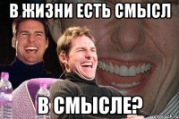 в жизни есть смысл в смысле?