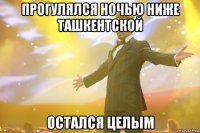 прогулялся ночью ниже ташкентской остался целым