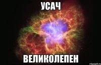 усач великолепен