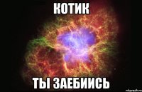 котик ты заебиись