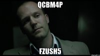 qcbm4p fzush5