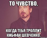 то чувство, когда тебя троллит кибфак шевченко.