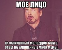 мое лицо на запиленный молодцом мем в ответ на запиленные мной мемы