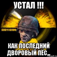 устал !!! как последний дворовый пёс,,,