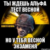 ты ждешь альфа тест весной но у тебя весной экзаменя