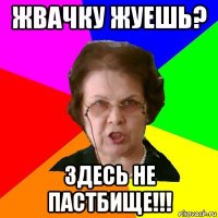 жвачку жуешь? здесь не пастбище!!!