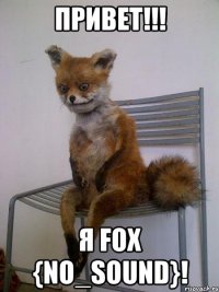 привет!!! я fox {no_sound}!