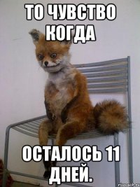 то чувство когда осталось 11 дней.