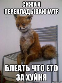 сижу и перекладываю wtf блеать что ето за хуйня