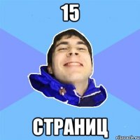 15 страниц